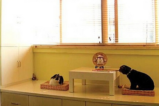 �(y��ng)�_(t��i)�����b��Ч���D